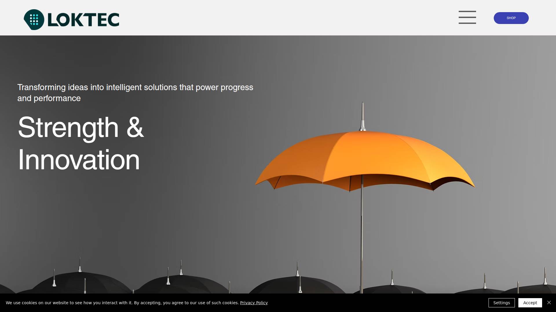 Loktec Ltd Website Screenshot 001
